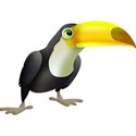 toucan 2