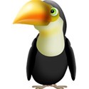 toucan