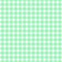 green gingham background_edited-1