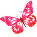 butterfly_pink