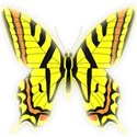 butterfly yellow glow