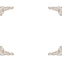 1 (6)