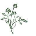 foliage_vectorized