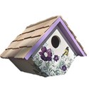 birdhouse wren painted