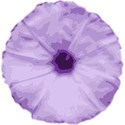 lavender flower