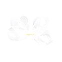 white bow copy_edited-2