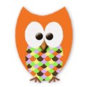 mini tangerine owl