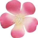 armina_allthingspretty_flower3