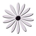 flower 2