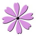flower 5