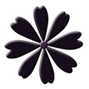 flower 6