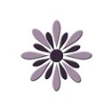 flower 8
