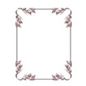 Pink Frame 2c