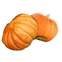 BD_Pumpkins_02