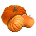 BD_Pumpkins_03