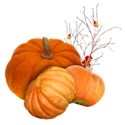 BD_Pumpkins_04