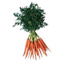 BD_Carrots_01