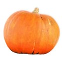 BD_Pumpkin_01