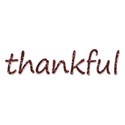 BD_thankful_glitter