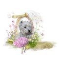 Frühling-IMG_2987-01-PNG