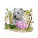 Frühling-IMG_2987-02-PNG