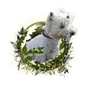 Herbst-IMG_3803-03-PNG