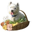Sommer-IMG_1885-01-PNG