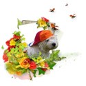 Sommer-PICT2078-01-PNG