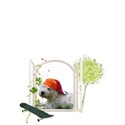 Sommer-PICT2078-02-PNG