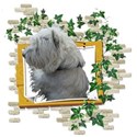 Winter-IMG_3135-01-PNG
