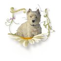 Winter-IMG_6711-01-PNG
