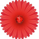 red flower petals