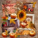 00 kit cover fall splendor