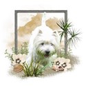 Frühling-IMG_5954-02-PNG