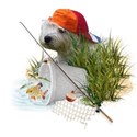 Sommer-PICT2078-01-PNG