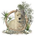 Winter-IMG_6711-07-PNG