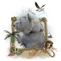 Winter-IMG_3135-02-PNG