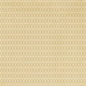 DD_Complicity_paper06