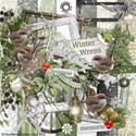 00 kit cover winter wrens