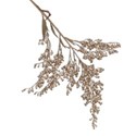 dried seed branch copy
