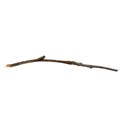 twig 03