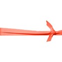 ribbon3