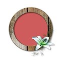 OS_BRCluster_02