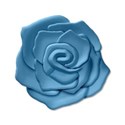 rose4