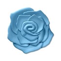 rose3