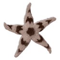 BD_BRStarfish_01