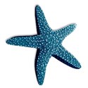 BD_Starfish_02