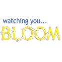 watching you bloom