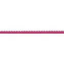 dzava_augustsampler_confettiborder