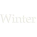 winter copy